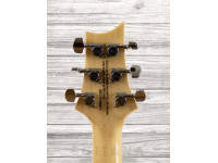 PRS SE Custom 24 Faded Blue Burst PRS SE Custom 24 Faded Blue Burst